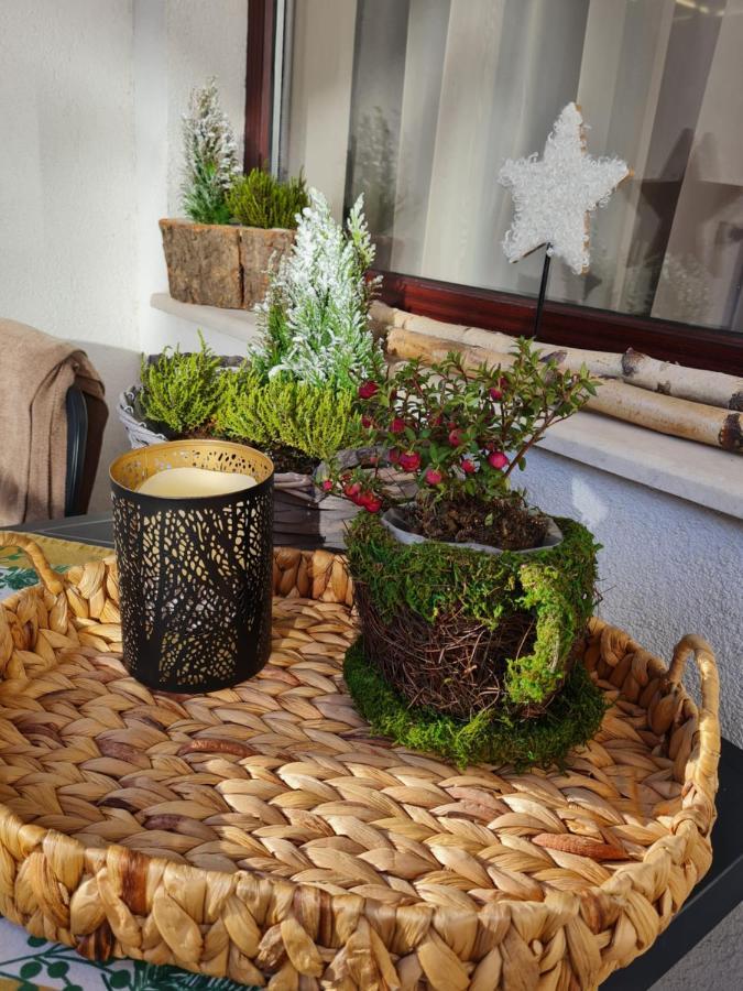 Mountain Peak Apartment Borovec Kültér fotó